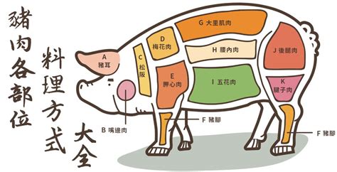 豬肉各部位料理方式大全｜無毒農