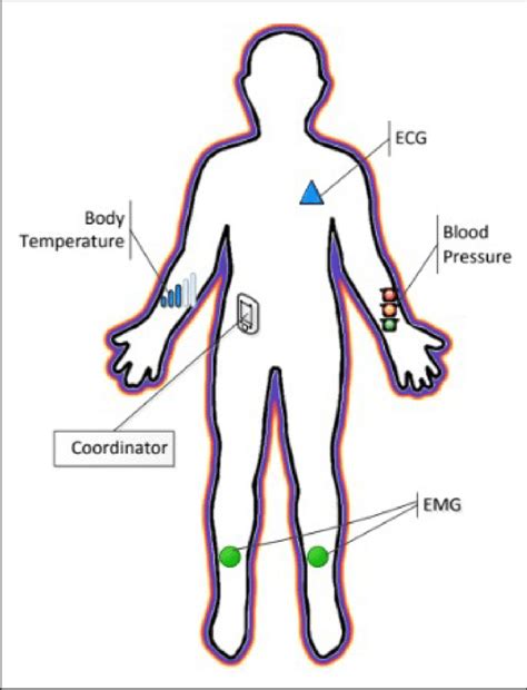 Placement Of The Body Sensors On The Patient Download Scientific Diagram