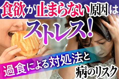 食欲が止まらない原因はストレス？対処法と過食による病のリスク