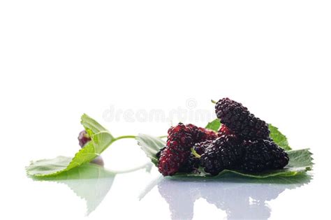 Ripe Black Mulberry Berries With Leaves Isolated On White Background