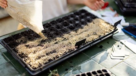 How To Use Vermiculite For Efficient Seed Germination