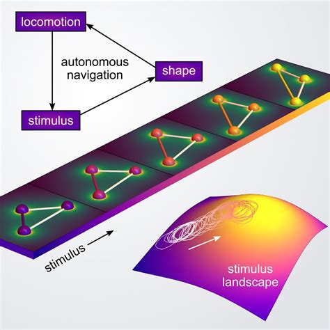 Autonomous Navigation Of Microrobots Based On Shape Shifting Materials