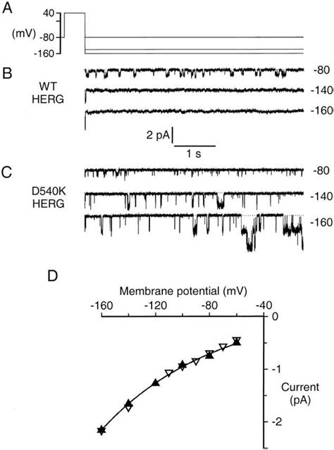 Comparison Of Wt And D K Herg Single Channel Currents Currents Were