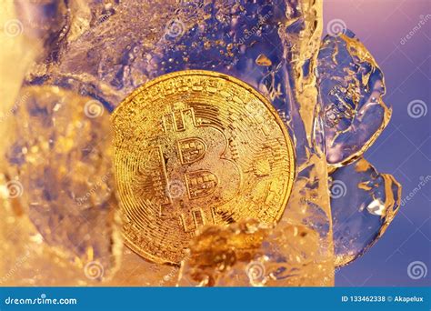 A Bitcoin Gold Coin Frozen In Ice Covered With Drops Of Moisture