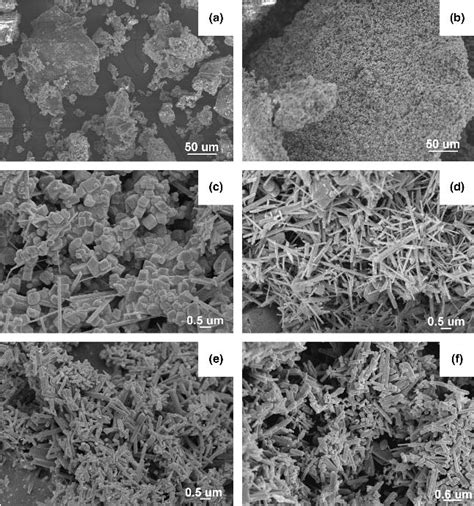 Sem Micrographs Of Calcium Phosphate Samples A Nano 3 Ctg Download Scientific Diagram