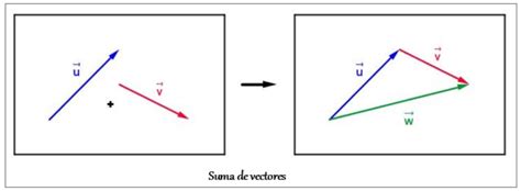 Suma De Vectores M Todo Gr Fico Ejemplos Ejercicios Resueltos