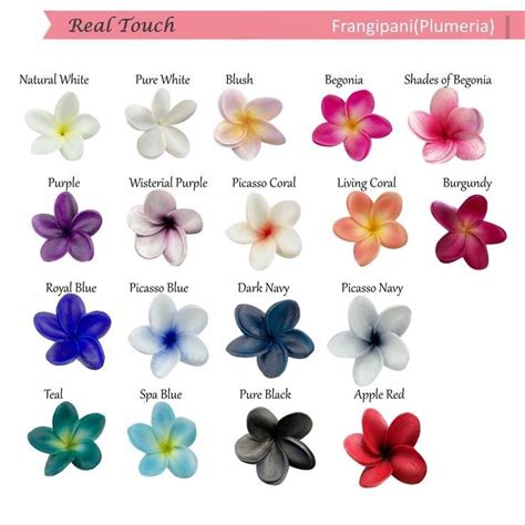 types  frangipani plumeria flower color meaning tropical