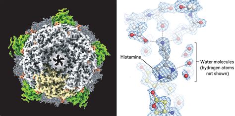 Cryo Electron Microscopy Reaches Resolution Milestone