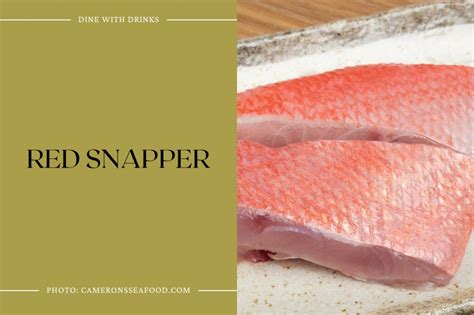 12 Red Snapper Fillet Recipes That Are Off the Hook! | DineWithDrinks