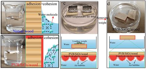 Water Cohesion Diagram