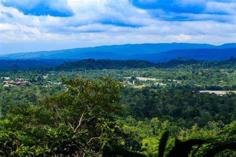 Rio Napo stock image. Image of jungle, travel, resting - 64292919