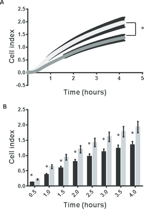 Endometrial Epithelial Cell Adhesion To The Extracellular Matrix