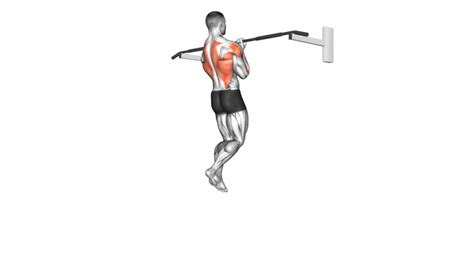 Close Grip Pull Up Ultimate Video Guide Tips