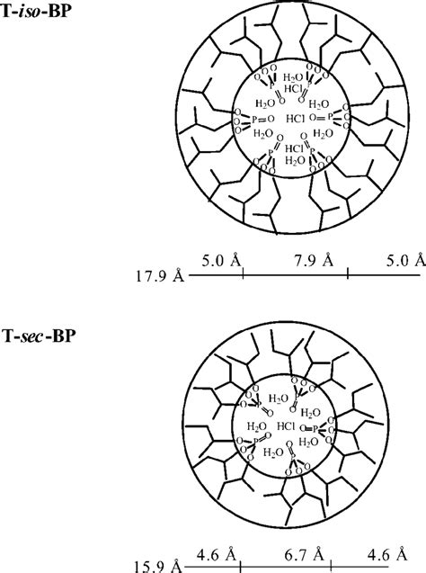 Schematic Two Dimensional Representation Of The T Iso Bp And T Sec Bp