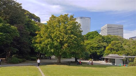 Hamarikyu Gardens Jason Meyer Flickr