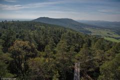 Chemin Des Cimes Alsace Visit Grand Est