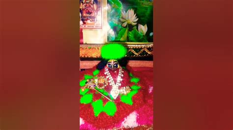 Laddu Gopal Krishna Ytshorts Viral Video Laddugopal Status 😀🥰☺️ 🌟