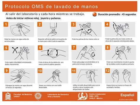 Pdf Protocolo Oms De Lavado De Manos Lgvh Home Dokumen Tips