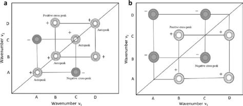 Schematic Contour Map Of A Synchronous D Correlation Spectrum A And