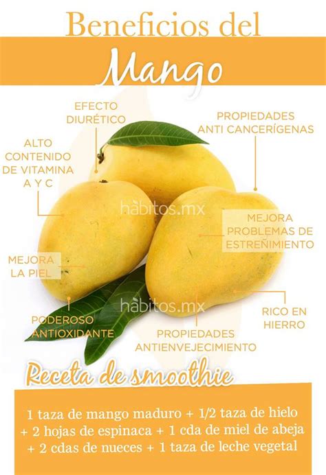 Que Beneficios Tiene El Mango Factory Sale