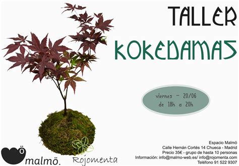 Pr Ximo Taller De Kokedamas De Junio Rojomenta