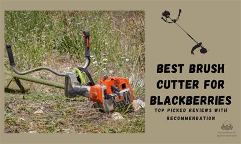 Best Brush Cutter For Blackberries 2023 Top Picked Reviews