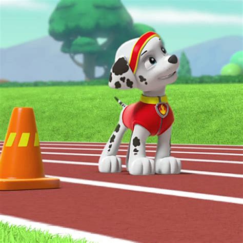 Paw Patrol Seizoen 2 Afl 20 De Pups Redden De Burgemeesterrace De Pups Redden De