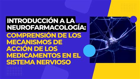 Introducci N A La Neurofarmacolog A Comprensi N De Los Mecanismos De