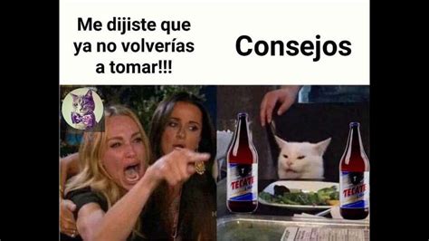 Viral Meme del gato en la mesa y una mujer gritándole FOTOS El