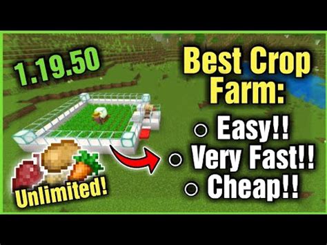 BEST AUTOMATIC CROP FARM EVER VERY FAST In Minecraft Bedrock 1 20