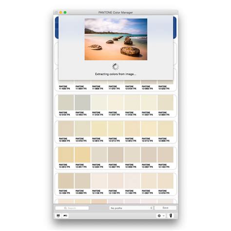 Pantone White Pantone Colour Palettes Paint Color Chart