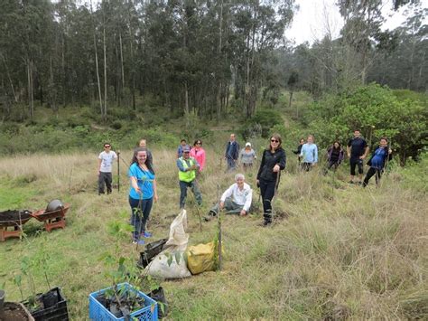 ACTIVIDAD I RESTAURACIÓN DEL HÁBITAT EN QUITO