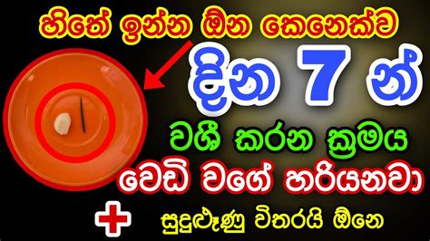 හිතේ ඉන්න ඕනම කෙනෙක්ව දින 7න් වශී කරන බලගතු ක්‍රමය Gurukam Washi