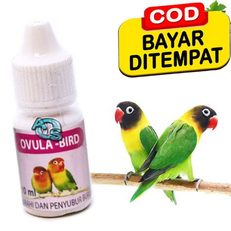 Vitamin Burung Susah Kawin Penyubur Ternak Completed Formula Ovula Bird