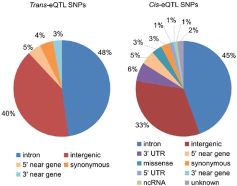 Functional Types Of The Eqtl Snps The Percentage Of Snp Types Is Shown