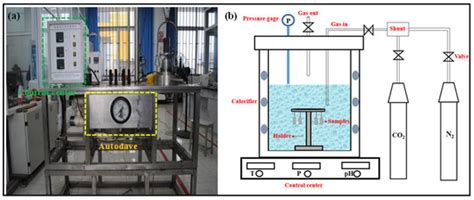 Coatings Free Full Text Study On The Galvanic Corrosion Between