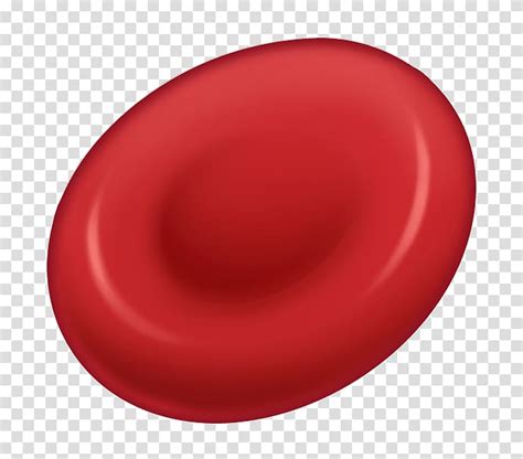 Red Blood Cell Cell Nucleus Cell Transparent Background PNG Clipart