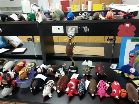 Carbrey's Chemistry Blog : Mole Day!!!