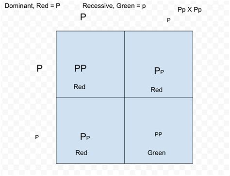 How To Predict Phenotype Using Punnett Square Food Science