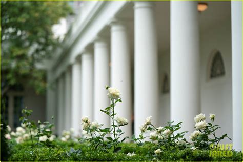 Melania Trump Renovated the White House's Rose Garden & These Photos ...