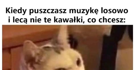 Kurwa Co Jest