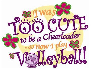 Volleyball Slogans | Funny Volleyball Sayings to Make You Smile