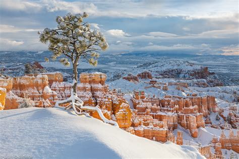 Winter Photography Tips for Landscape Photographers - The Photo Argus