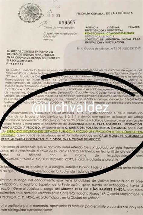 La Historia Entre Rosario Robles Y El Empresario Argentino Carlos