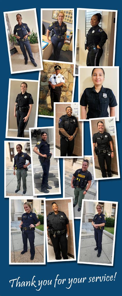 Delaware County PA public access portal reveals critical tax records 2