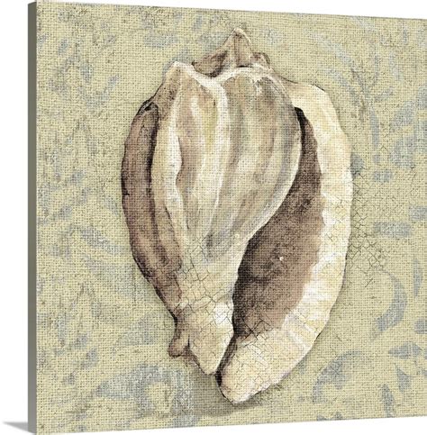 Conch shell | Great Big Canvas