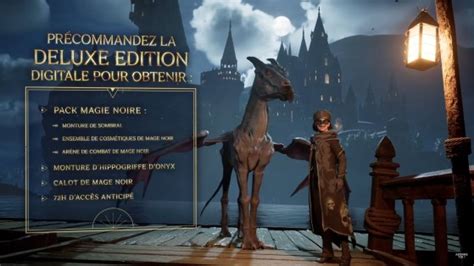 Collector Hogwarts Legacy : Prix, Contenu, Précommande... Tout sur ...
