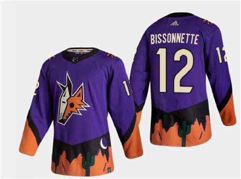 Men's Arizona Coyotes #12 Paul Bissonnette Reverse Retro 2020-21 ...