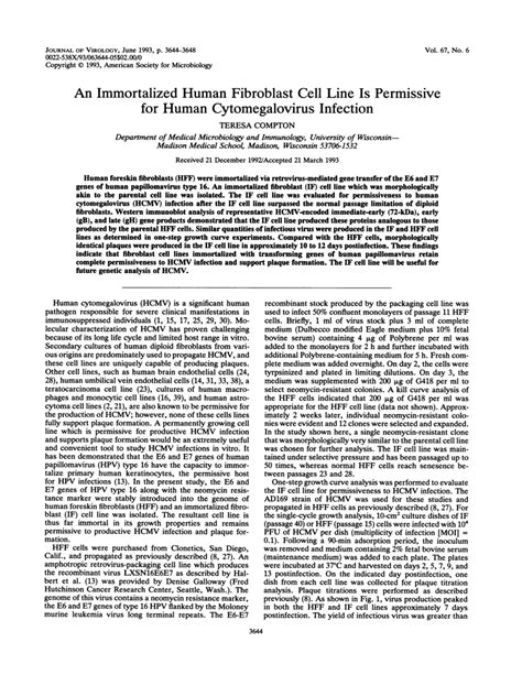 Pdf An Immortalized Human Fibroblast Cell Line Is Permissive For