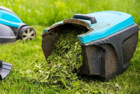 Mulching With Grass Clippings For A Thriving Garden And Lawn • Sow Small Garden